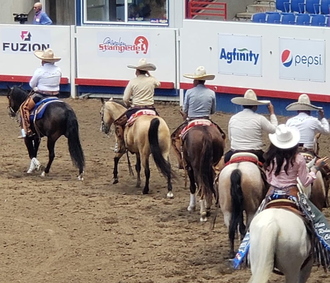 PRCA ProRodeo Series 4